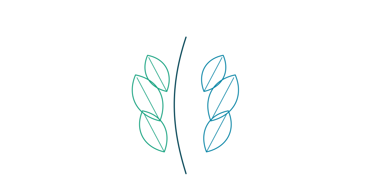 Zeichnung: Blatt